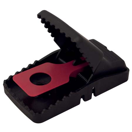 Osd gruppo Ecotech srl